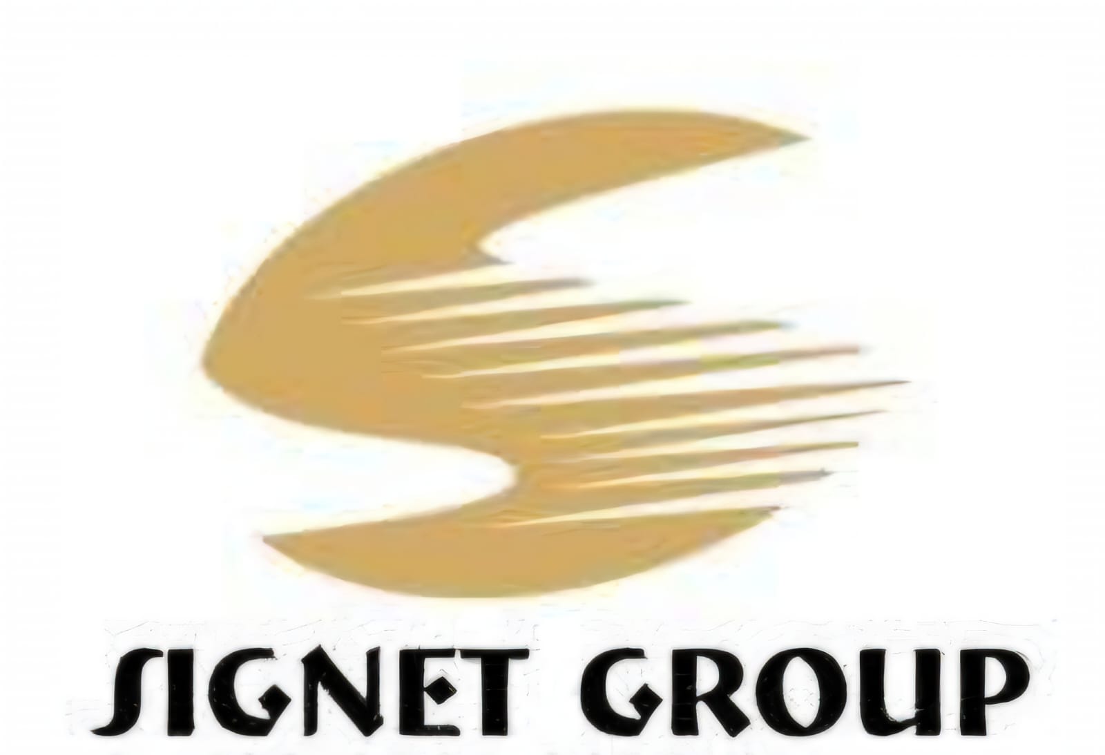 Client Logos